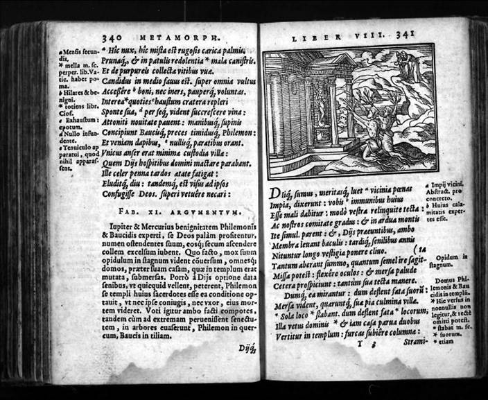 Cinquecentina di Ovidio
