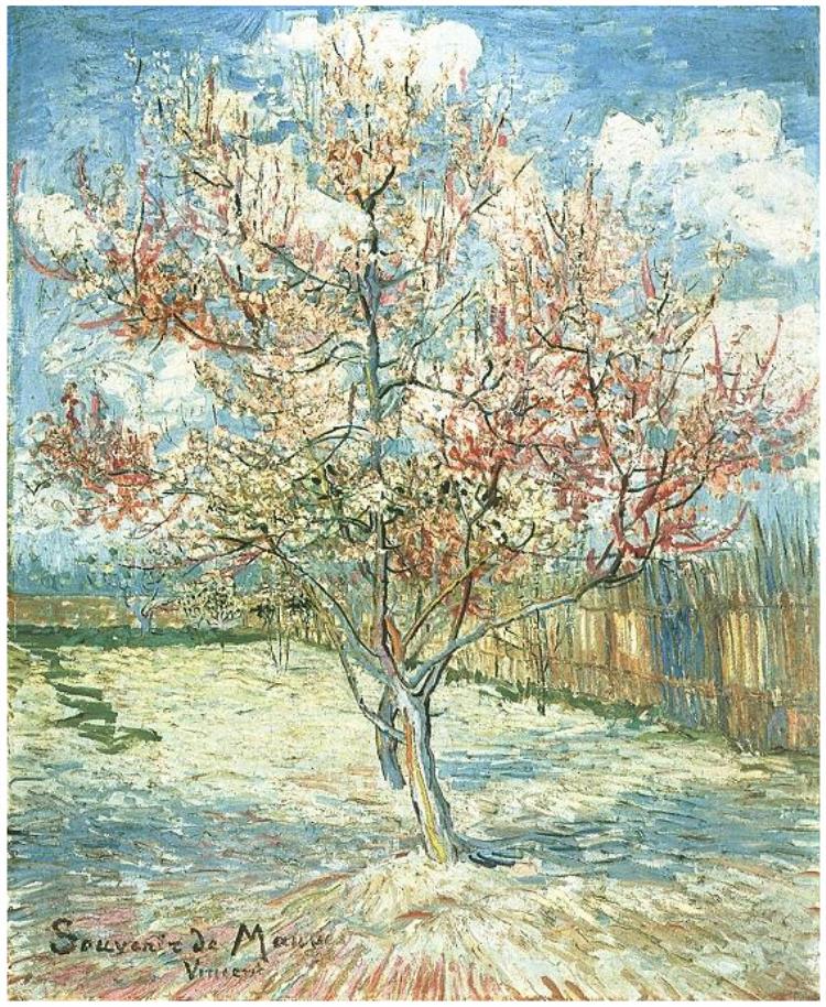 peschi in fiore (van gogh)