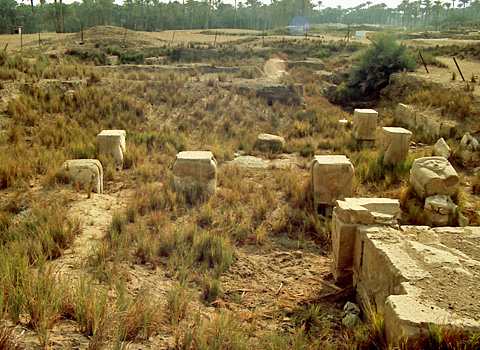 rovine del tempio di Ptah a Memphis